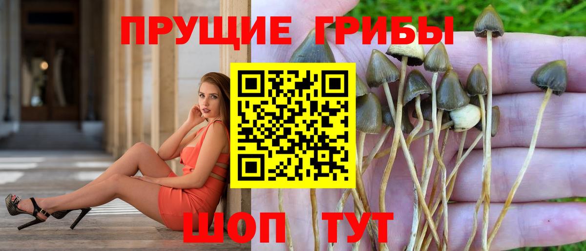 Псилоцибиновые грибы мухоморы Королёв