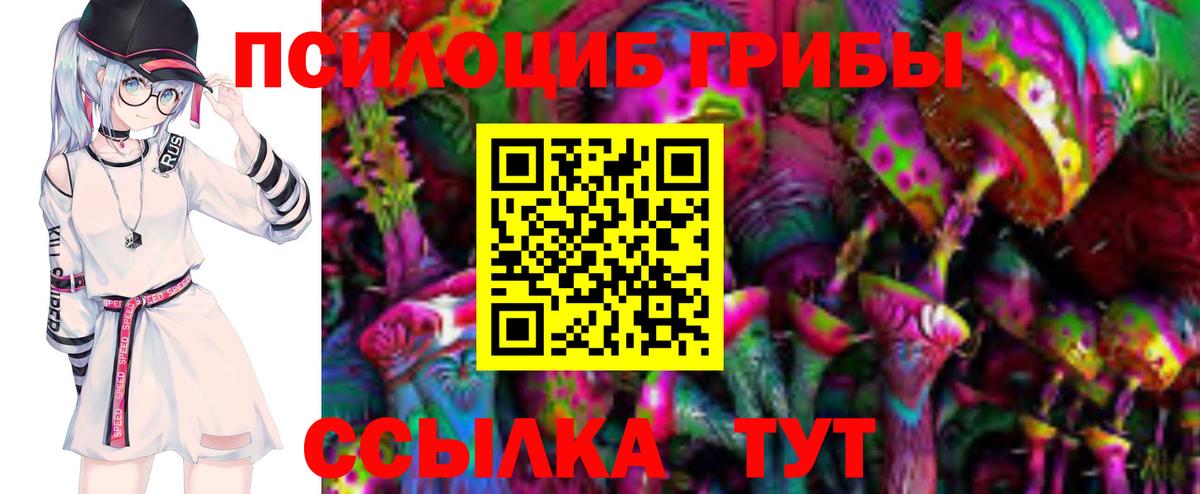 Псилоцибиновые грибы Cubensis  Галлюциногенные грибы Cubensis  дарнет шоп  Королёв  Вход с VPN 
